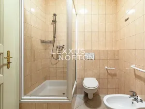Pronájem bytu 1+kk, Praha - Vinohrady, Italská, 41 m2
