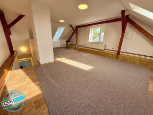 Pronájem bytu 2+kk, Opava, 105 m2