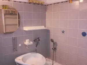 Pronájem bytu 2+1, Teplice, Fráni Šrámka, 64 m2