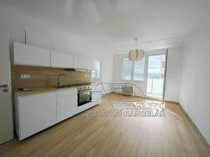 Pronájem bytu 2+kk, České Budějovice, 49 m2