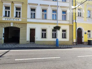 Prodej bytu 3+1, Teplice, U Hadích lázní, 105 m2