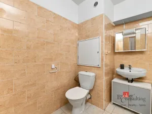 Prodej bytu 1+1, Plzeň - Severní Předměstí, Brněnská, 48 m2