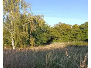 Prodej pozemku pro bydlení, Černošice, 1014 m2