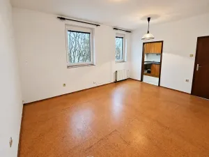 Pronájem bytu 1+kk, Hradec Králové, Věkošská, 33 m2