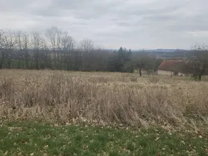 Prodej pozemku, Mezno - Stupčice, 5329 m2