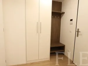 Pronájem bytu 1+kk, Praha - Žižkov, Hartigova, 38 m2