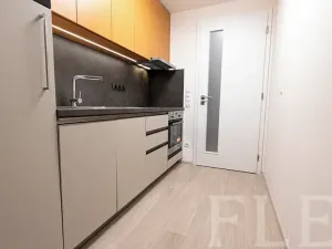 Pronájem bytu 1+kk, Praha - Žižkov, Hartigova, 34 m2