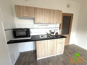 Pronájem bytu 1+kk, Plzeň, Dlouhá, 20 m2