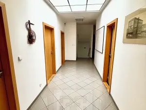 Prodej výrobních prostor, Mladá Boleslav, Ptácká, 1011 m2