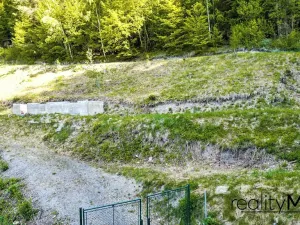 Prodej pozemku pro bydlení, Rakousy, 5248 m2