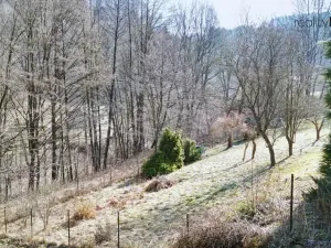 Prodej zahrady, Železný Brod, 369 m2