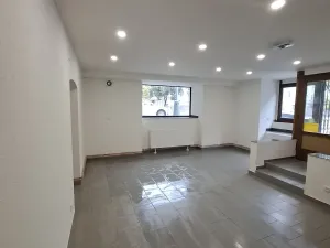 Pronájem obchodního prostoru, Plzeň, Stehlíkova, 67 m2