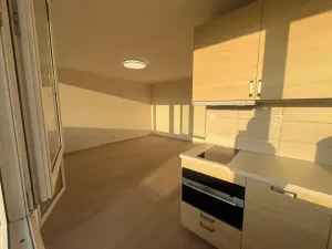 Pronájem bytu 1+kk, Praha - Karlín, Nekvasilova, 27 m2