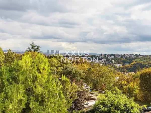 Pronájem bytu 1+kk, Praha - Smíchov, Nad Palatou, 35 m2