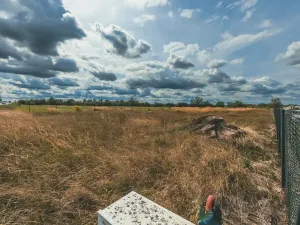 Prodej pozemku pro bydlení, Mikulovice, 1297 m2