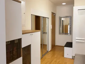 Prodej bytu 2+kk, Praha - Vysočany, Pod Harfou, 56 m2