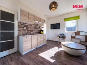 Prodej činžovního domu, Nová Ves - Vepřek, 600 m2