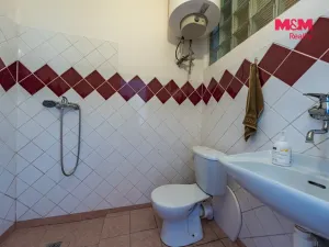 Prodej činžovního domu, Nová Ves - Vepřek, 600 m2