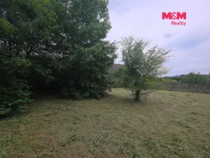 Prodej pozemku pro bydlení, Bor - Boječnice, 1114 m2