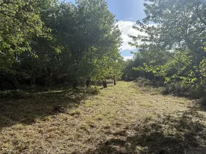 Prodej zahrady, Říčany, Do Lehovic, 2317 m2