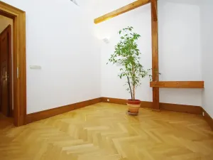 Pronájem bytu 4+1, Praha - Josefov, Žatecká, 195 m2