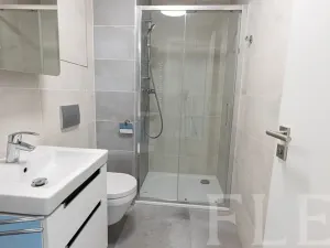 Pronájem bytu 1+kk, Praha - Žižkov, Hartigova, 32 m2
