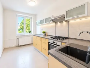 Prodej bytu 2+kk, Brno, 56 m2