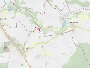 Prodej lesa, Pavlice, 3317 m2