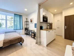 Pronájem bytu 1+kk, Praha - Vršovice, Moskevská, 28 m2