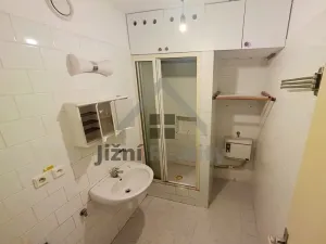 Prodej bytu 2+1, Vodňany, Sídl. Škorna, 70 m2