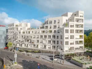Prodej bytu 1+kk, Ostrava - Moravská Ostrava, Biskupská, 45 m2