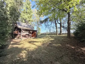 Prodej chaty, Borová, 53 m2