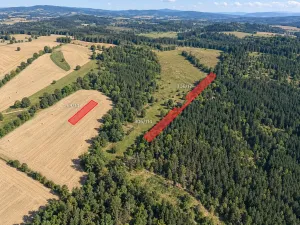 Prodej louky, Vižina, 3432 m2