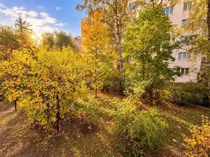 Pronájem bytu 1+kk, Praha - Břevnov, Junácká, 36 m2