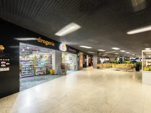 Pronájem obchodního prostoru, Praha - Michle, Želetavská, 84 m2