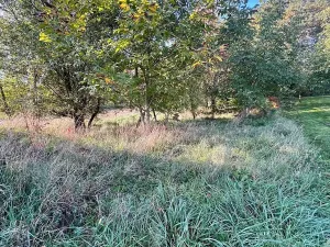 Prodej zahrady, Veselí nad Moravou, 448 m2