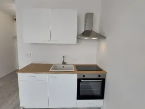 Pronájem bytu 1+kk, Most, M. G. Dobnera, 22 m2