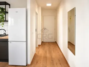 Pronájem bytu 2+kk, Brno - Štýřice, Sovinec, 42 m2