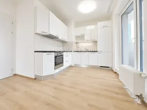 Prodej bytu 2+kk, Praha - Malešice, Nad úžlabinou, 48 m2