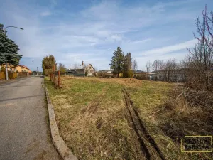 Prodej pozemku, Olešnice, V Domkách, 747 m2