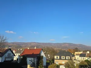 Prodej rodinného domu, Proboštov, 190 m2
