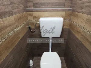 Pronájem obchodního prostoru, Šlapanice, 44 m2