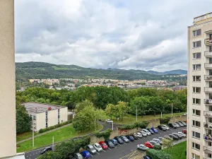 Prodej bytu 1+1, Ústí nad Labem - Střekov, Nová, 42 m2