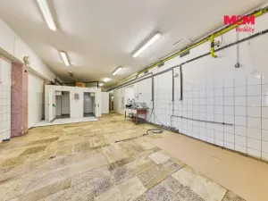 Prodej výrobních prostor, Trutnov - Dolní Předměstí, Lomní, 350 m2