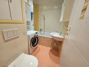 Pronájem bytu 3+1, Město Touškov, U Stadionu, 63 m2