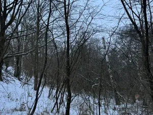 Prodej pozemku, Kralupy nad Vltavou, 719 m2