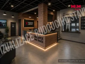 Prodej skladu, Kutná Hora - Sedlec, Vítězná, 4992 m2