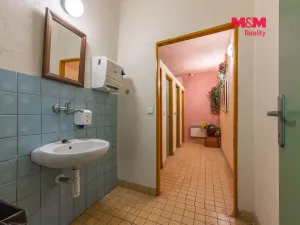 Prodej ubytování, Doksy, Štědrá, 500 m2