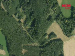 Prodej lesa, Luže - Doly, 4481 m2