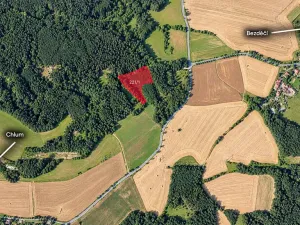 Prodej louky, Velké Opatovice, 11792 m2